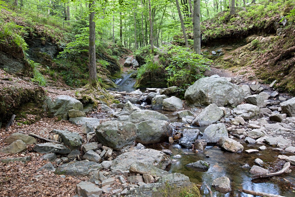 ardennen belgie natuur natuurgebied bos bossen eifel gebergte wandelen fietsen kanoen kasteel hdr